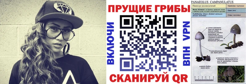 Галлюциногенные грибы прущие грибы  Лермонтов 