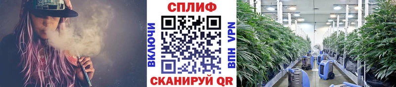 Канабис план KRAKEN ссылка Лермонтов